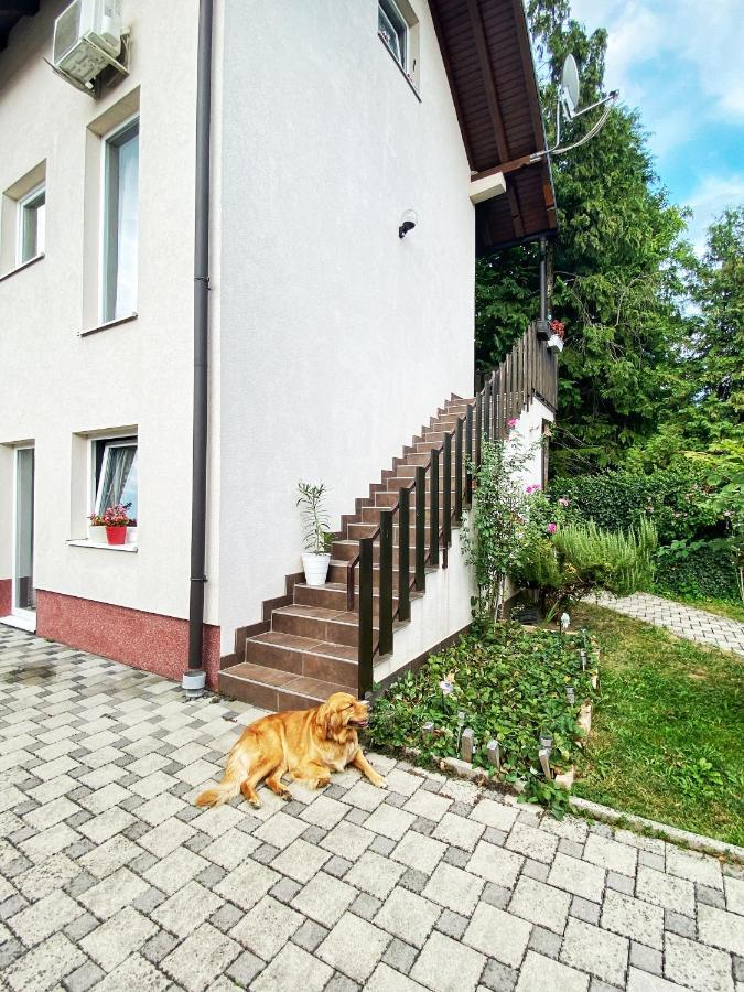 Hotel Guesthouse Stari Jasen Velika Mlaka Esterno foto