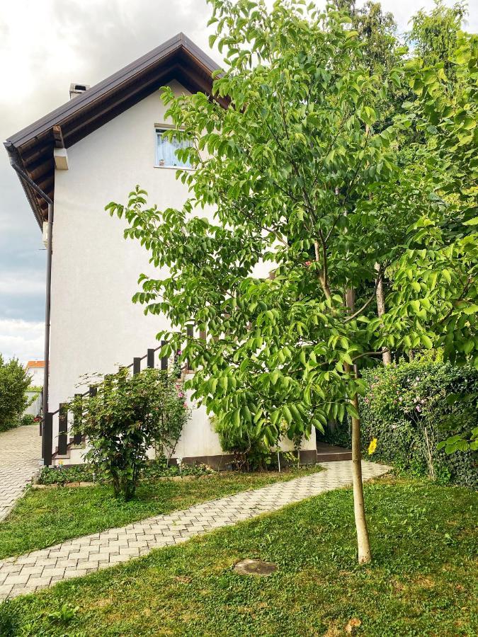 Hotel Guesthouse Stari Jasen Velika Mlaka Esterno foto